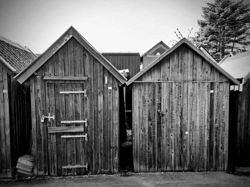 Getting Started with Timber Framing for Garden Buildings